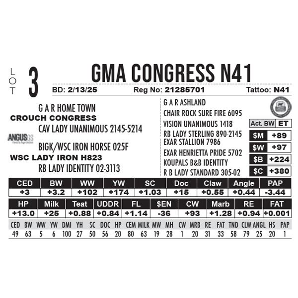 GMA Congress N41