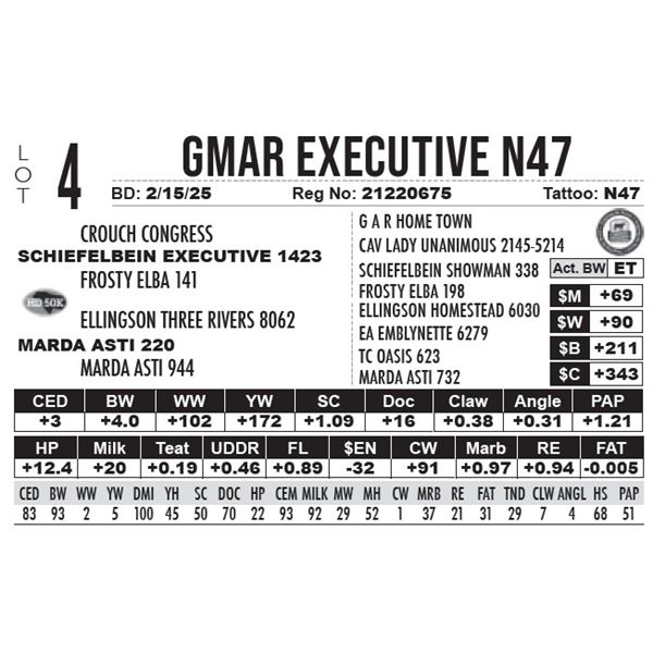 GMAR Executive N47