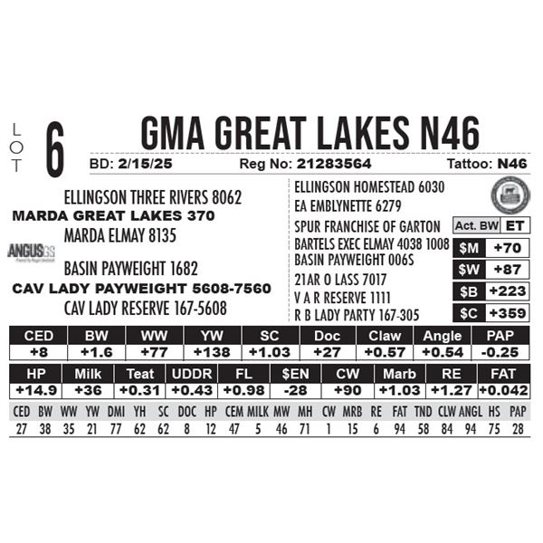 GMA Great Lakes N46