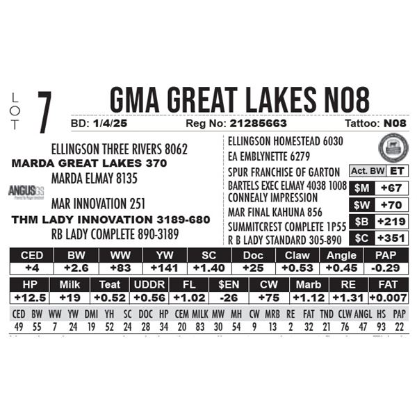 GMA Great Lakes N08