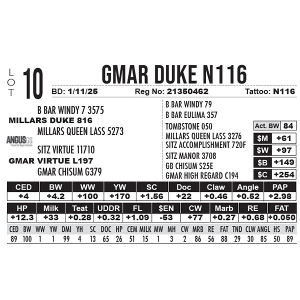 GMAR Duke N116