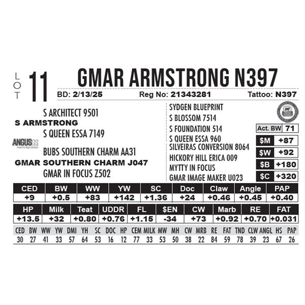 GMAR Armstrong N397