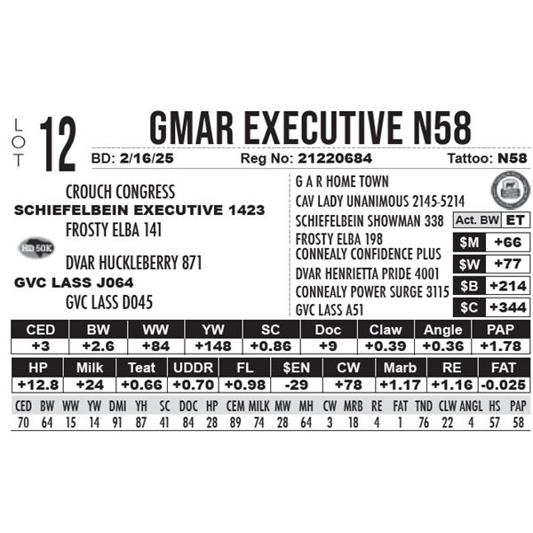 GMAR Executive N58