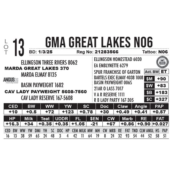 GMA Great Lakes N06