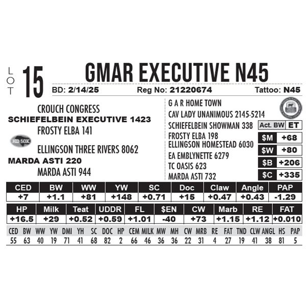 GMAR Executive N45