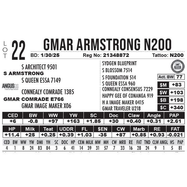 GMAR Armstrong N200