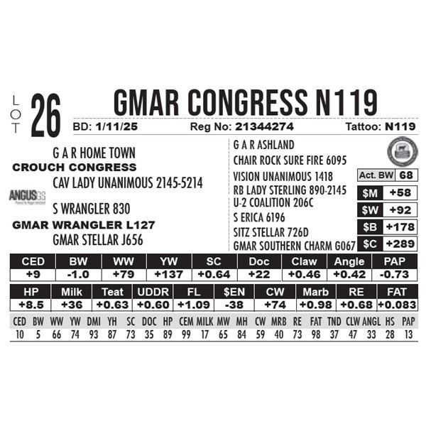 GMAR Congress N119
