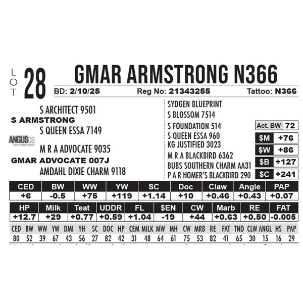 GMAR Armstrong N366