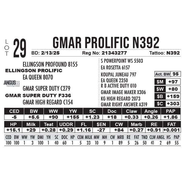 GMAR Prolific N392