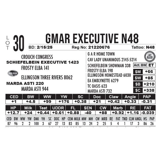 GMAR Executive N48