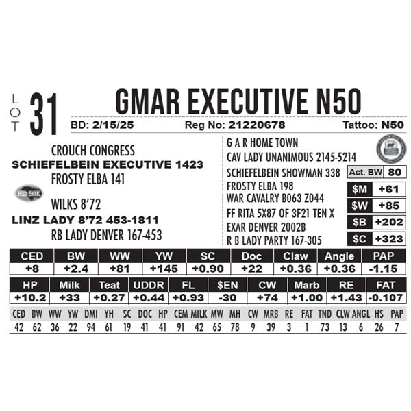 GMAR Executive N50