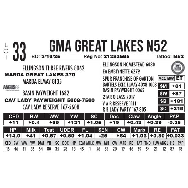GMA Great Lakes N52