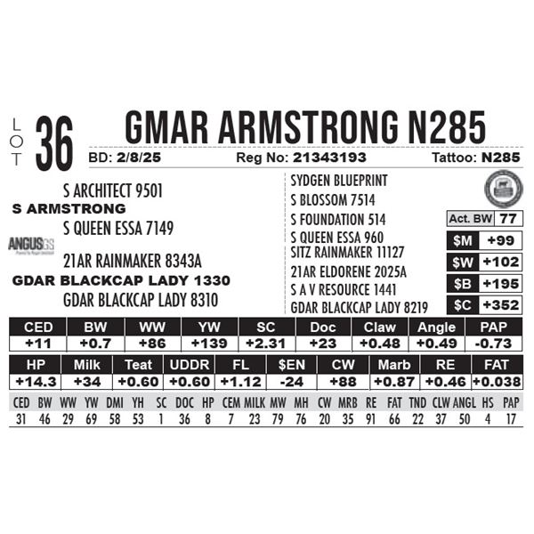 GMAR Armstrong N285