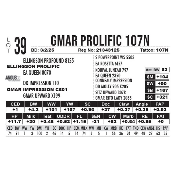 GMAR Prolific 107N