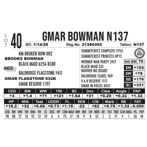 GMAR Bowman N137