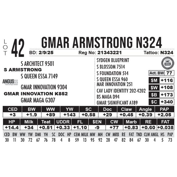 GMAR Armstrong N324