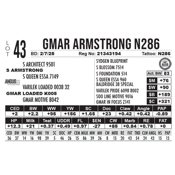GMAR Armstrong N286