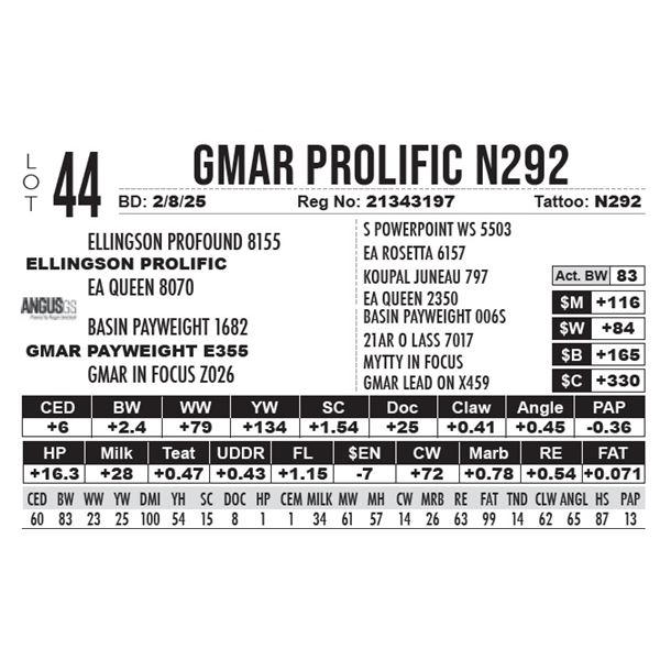 GMAR Prolific N292