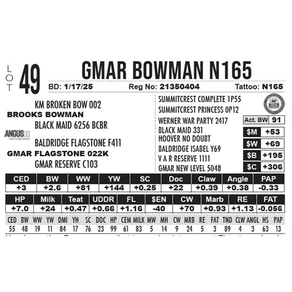 GMAR Bowman N165