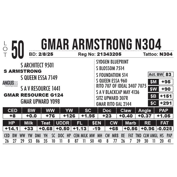 GMAR Armstrong N304