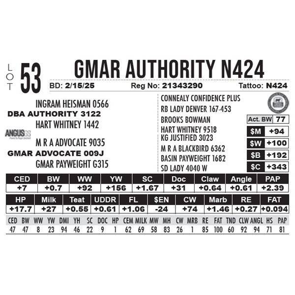 GMAR Authority N424