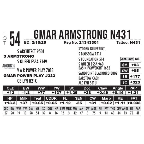 GMAR Armstrong N431