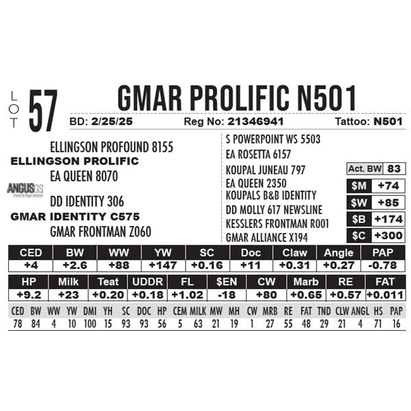 GMAR Prolific N501