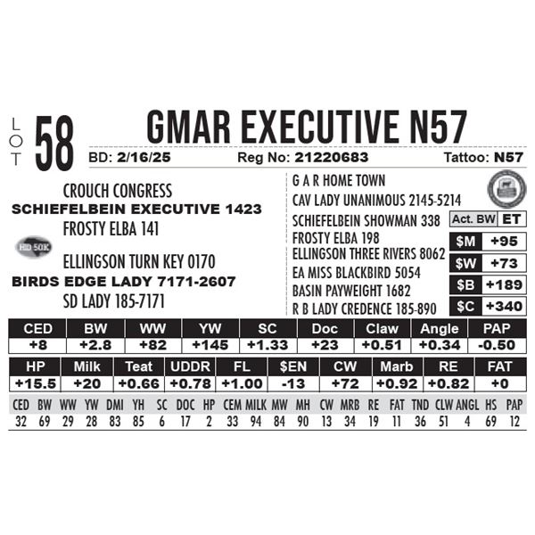 GMAR Executive N57