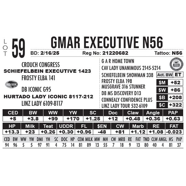 GMAR Executive N56