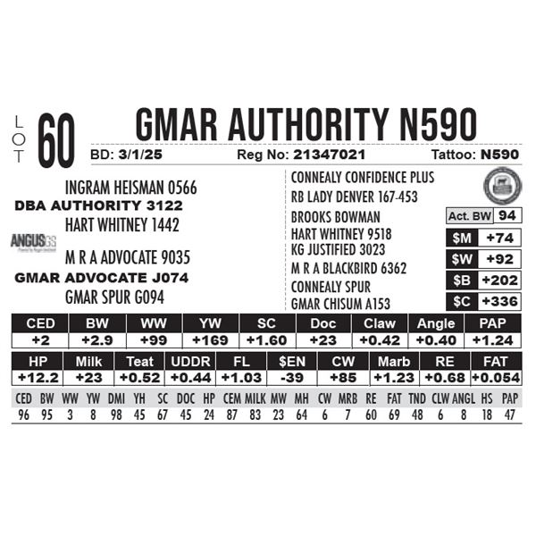 GMAR Authority N590