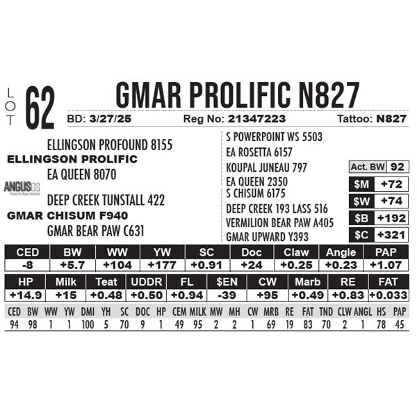 GMAR Prolific N827