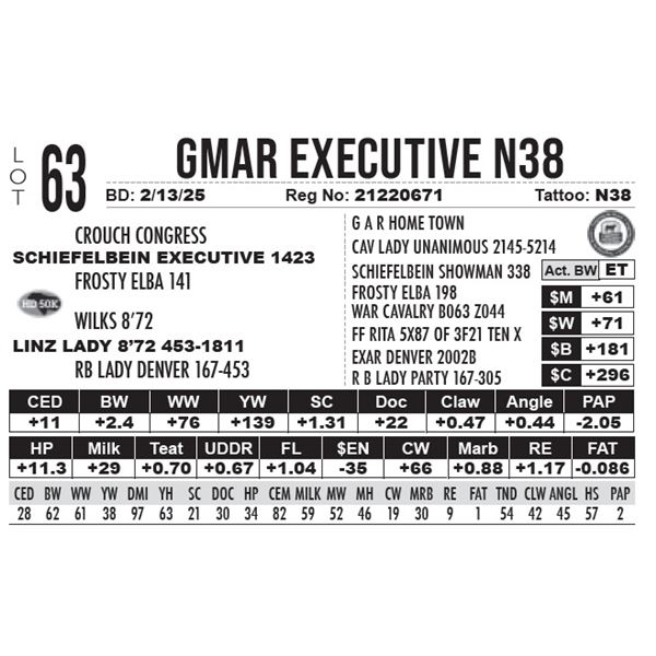 GMAR Executive N38