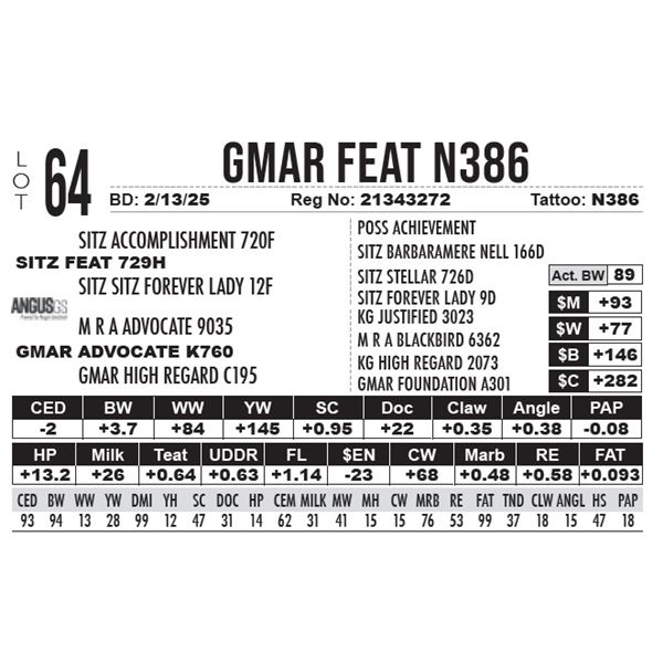 GMAR Feat N386