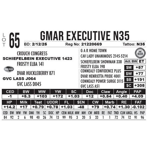 GMAR Executive N35