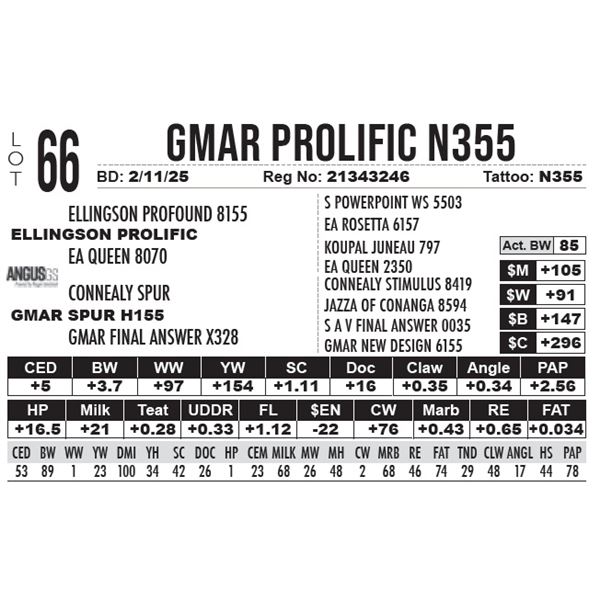 GMAR Prolific N355