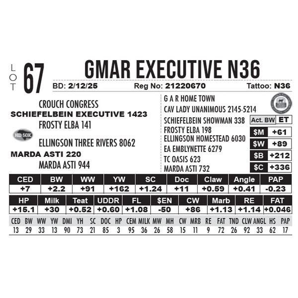 GMAR Executive N36