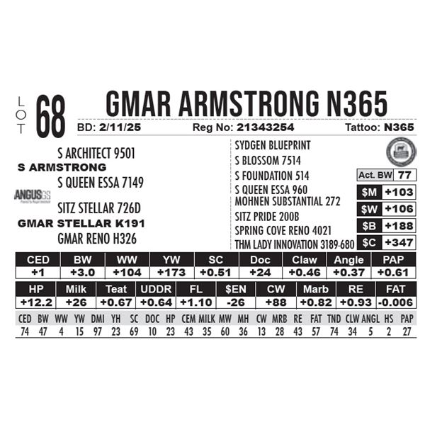 GMAR Armstrong N365