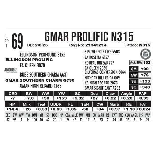 GMAR Prolific N315