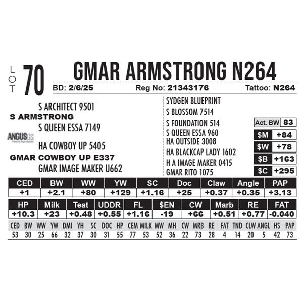 GMAR Armstrong N264