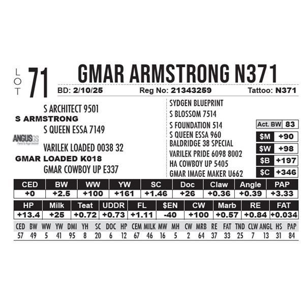 GMAR Armstrong N371