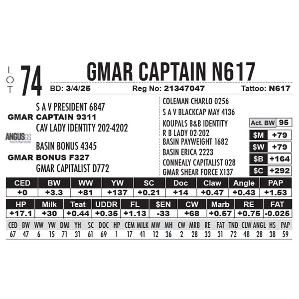 GMAR Captain N617