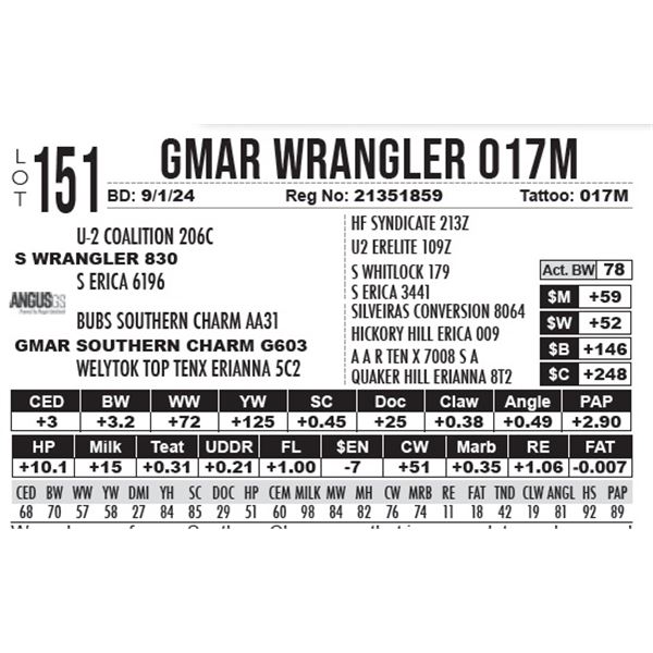 GMAR Wrangler 017M