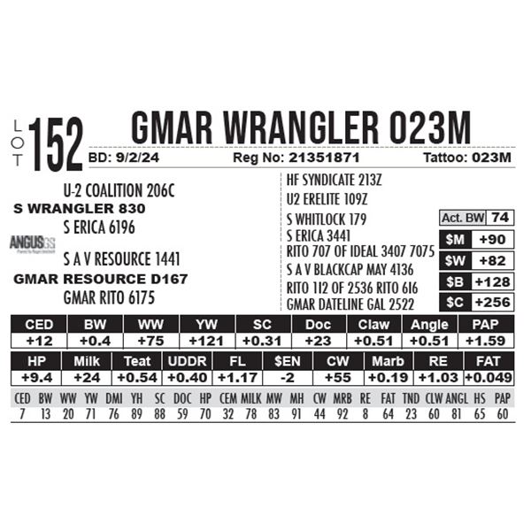 GMAR Wrangler 023M