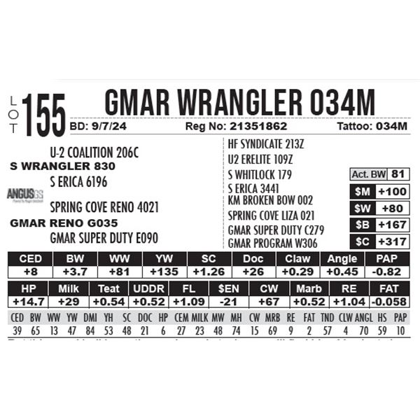 GMAR Wrangler 034M