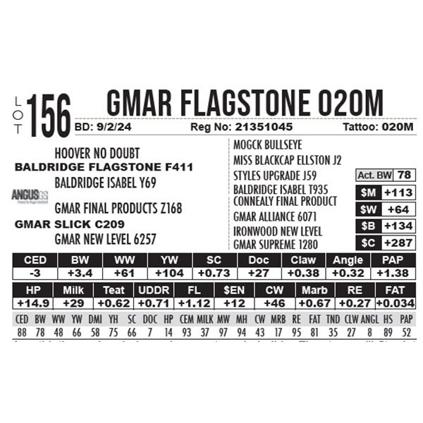 GMAR Flagstone 020M