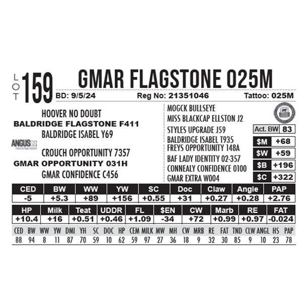 GMAR Flagstone 025M