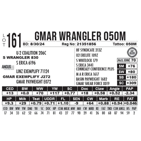 GMAR Wrangler 050M