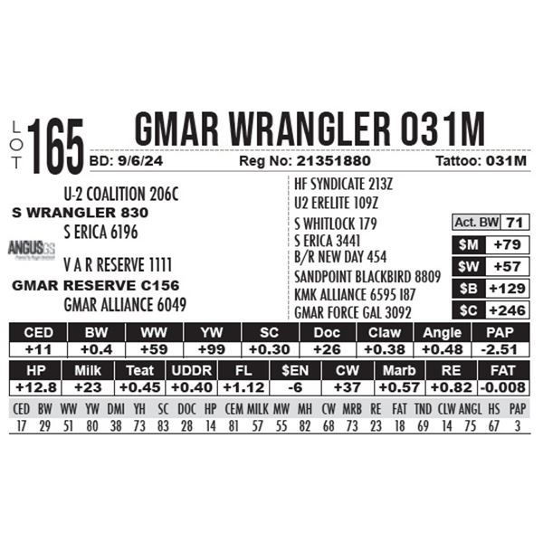 GMAR Wrangler 031M