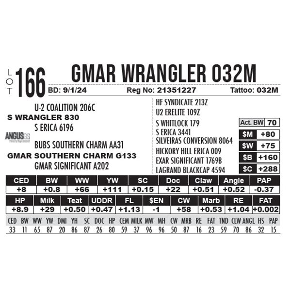 GMAR Wrangler 032M