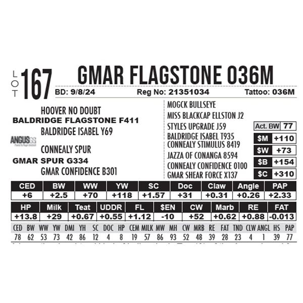 GMAR Flagstone 036M